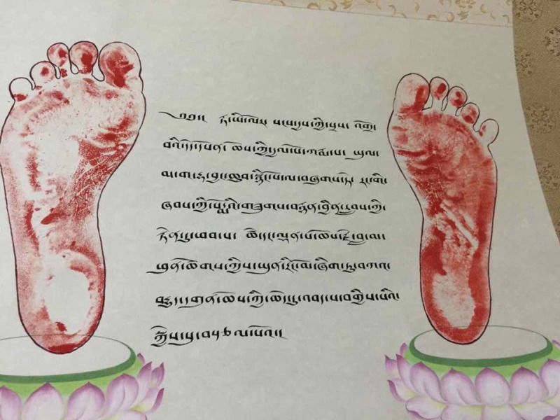 法王表揚確戒仁波切照片四